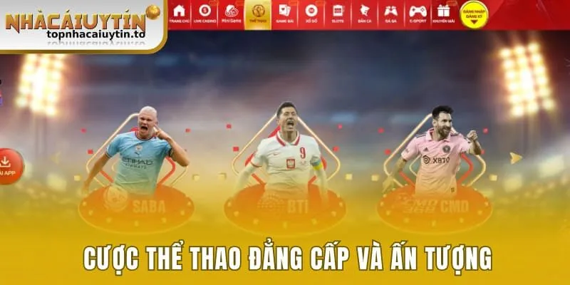 Cược thể thao đẳng cấp và ấn tượng