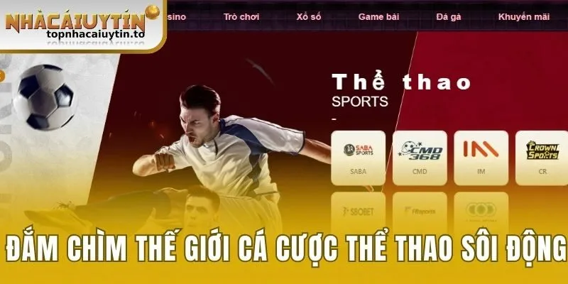 Đắm chìm vào thế giới cá cược thể thao cực sôi động