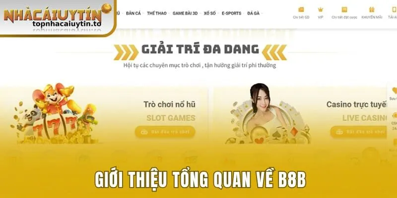 Tổng quan về nhà cái trực tuyến B8B