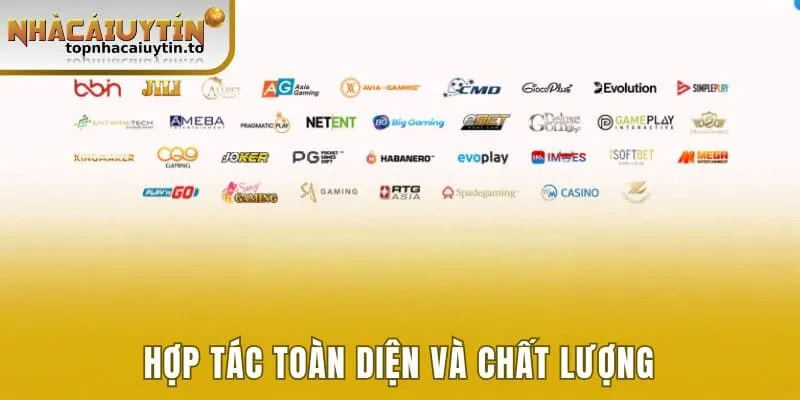 Hợp tác uy tín, toàn diện và chất lượng 