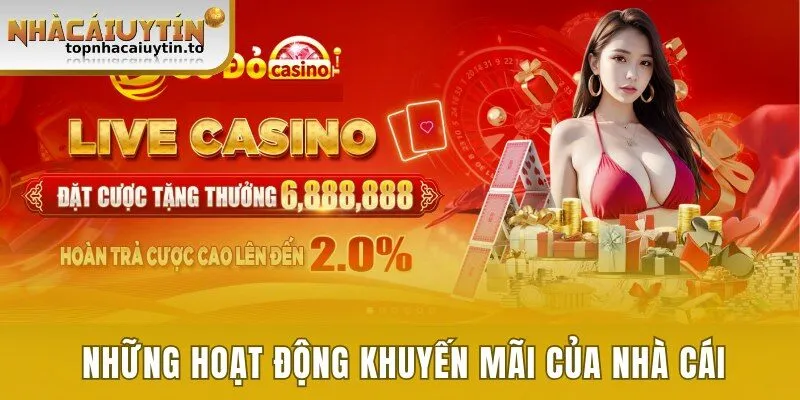 Những hoạt động khuyến mãi hấp dẫn của nhà cái